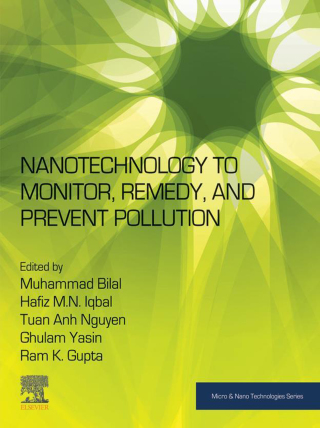 Cover image: Nanotechnology to Monitor, Remedy, and Prevent Pollution 1st edition 9780443156601