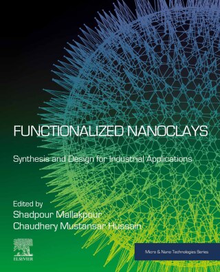 صورة الغلاف: Functionalized Nanoclays 9780443158940