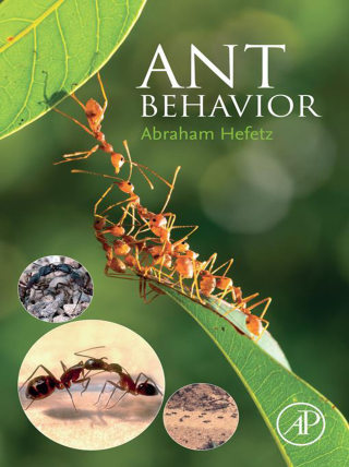 Imagen de portada: Ant Behavior 9780443161087