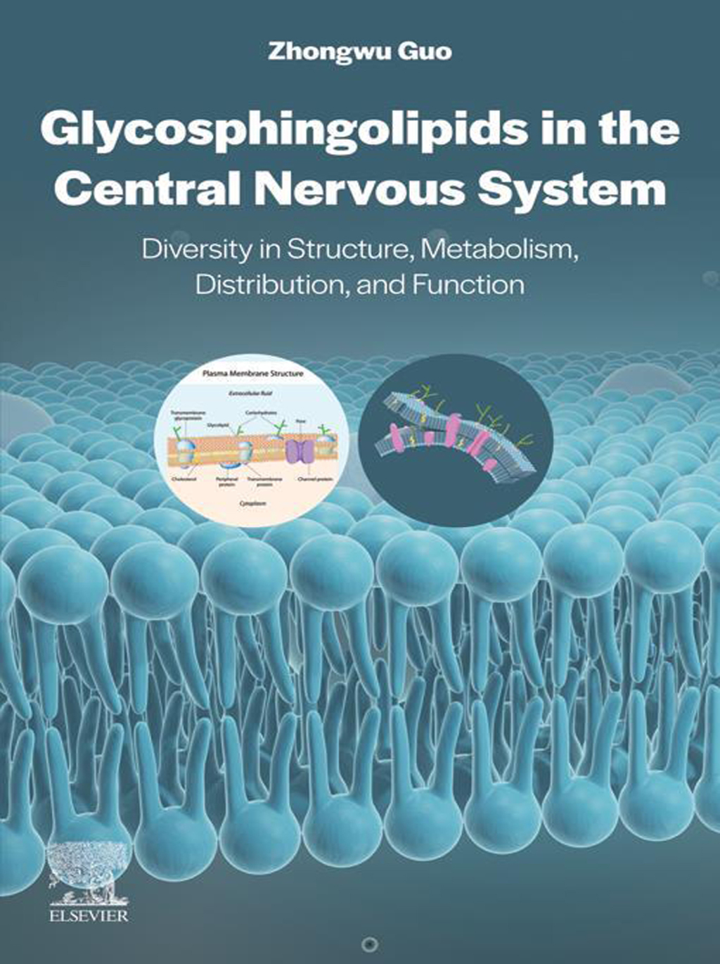 Glycosphingolipids in the Central Nervous System Diversity in Structure, Metabolism, Distribution, and Function