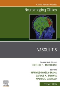 Cover image: Vasculitis, An Issue of Neuroimaging Clinics of North America 1st edition 9780443183461