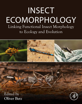 Imagen de portada: Insect Ecomorphology 9780443185441