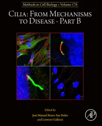 Cover image: Cilia: From Mechanisms to Disease–Part B 1st edition 9780443185885