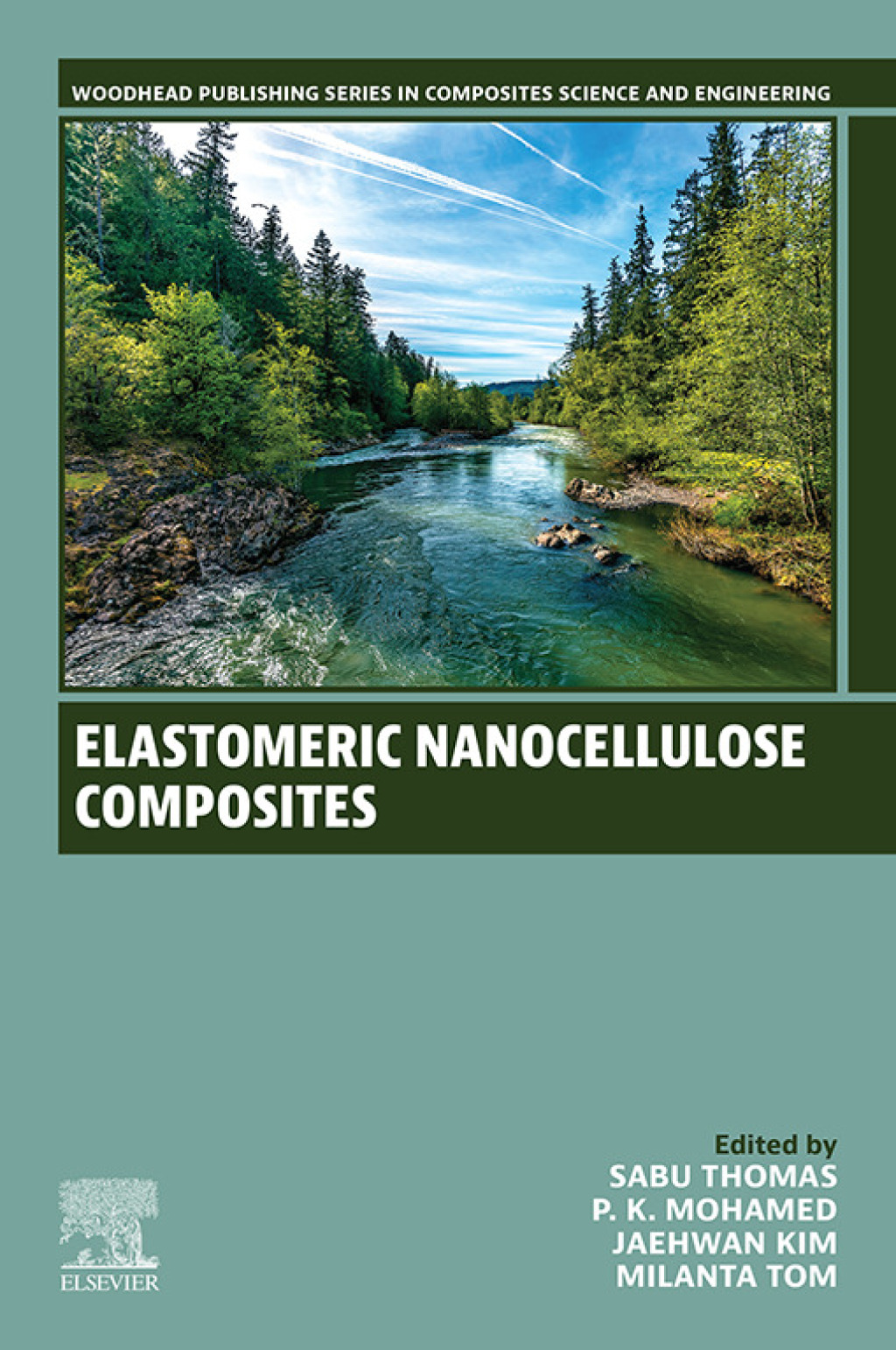 Elastomeric Nanocellulose Composites 1st Edition