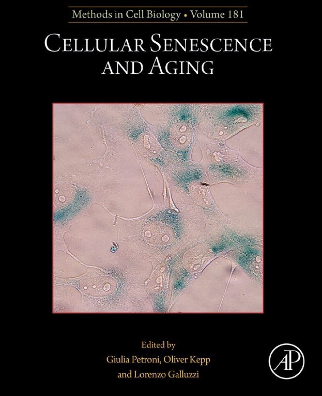 Cellular Senescence and Aging 1st Edition