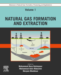Cover image: Advances in Natural Gas: Formation, Processing and Applications. Volume 1: Natural Gas Formation and Extraction 1st edition 9780443192159