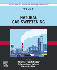 Titelbild: Advances in Natural Gas: Formation, Processing, and Applications. Volume 2: Natural Gas Sweetening 1st edition 9780443192173