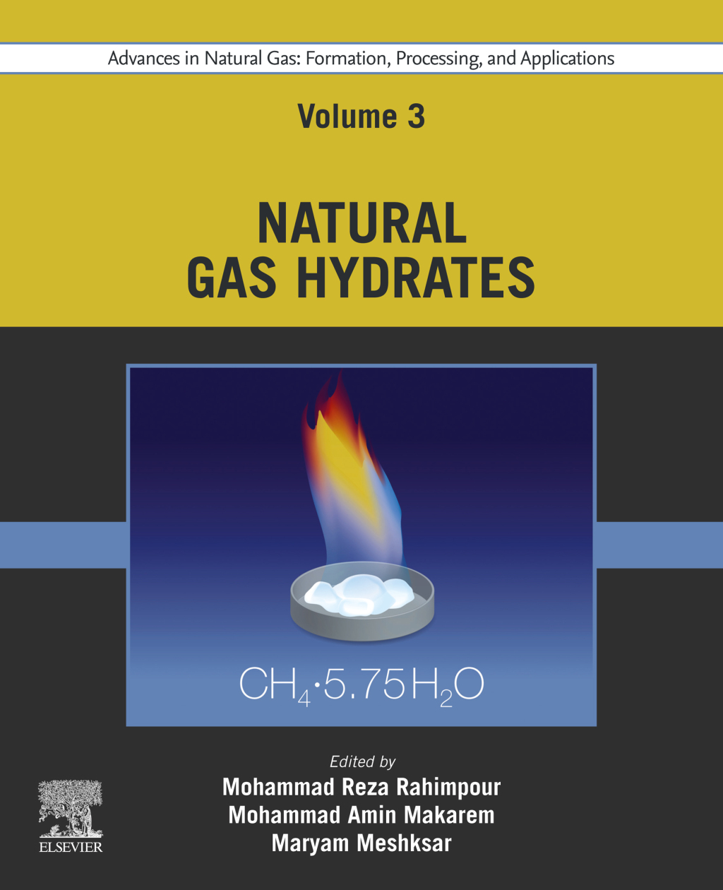 Advances in Natural Gas: Formation, Processing, and Applications. Volume 3: Natural Gas Hydrates 1st Edition