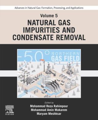 Immagine di copertina: Advances in Natural Gas: Formation, Processing, and Applications. Volume 5: Natural Gas Impurities and Condensate Removal 1st edition 9780443192234