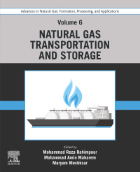 Imagen de portada: Advances in Natural Gas: Formation, Processing, and Applications. Volume 6: Natural Gas Transportation and Storage 1st edition 9780443192258