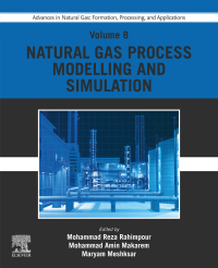 Cover image: Advances in Natural Gas: Formation, Processing, and Applications. Volume 8: Natural Gas Process Modelling and Simulation 1st edition 9780443192296