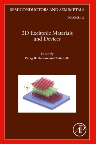Imagen de portada: 2D Excitonic Materials and Devices 1st edition 9780443193927