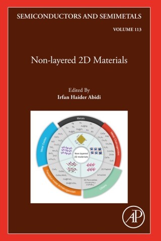 Cover image: Non-layered 2D Materials 1st edition 9780443193941