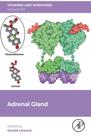 Cover image: Adrenal Gland 1st edition 9780443194009
