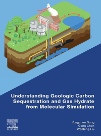 Immagine di copertina: Understanding Geologic Carbon Sequestration and Gas Hydrate from Molecular Simulation 1st edition 9780443217654