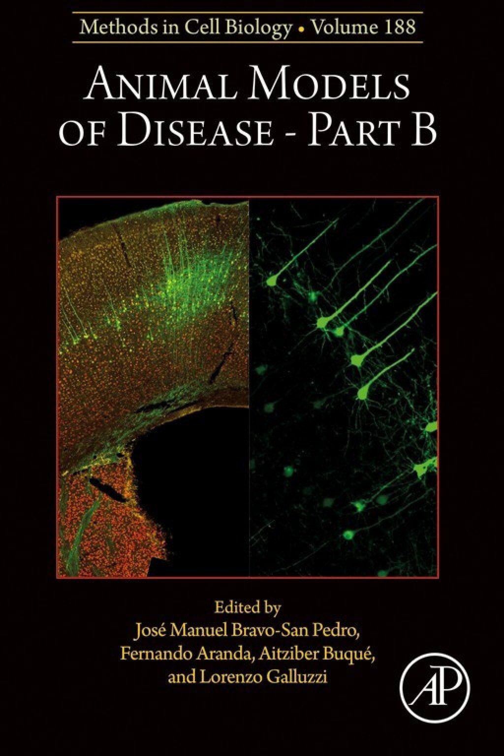 Animal Models of Disease Part B 1st Edition
