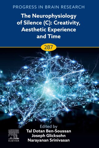 Omslagafbeelding: The Neurophysiology of Silence (C): Creativity, Aesthetic Experience and Time 1st edition 9780443238758
