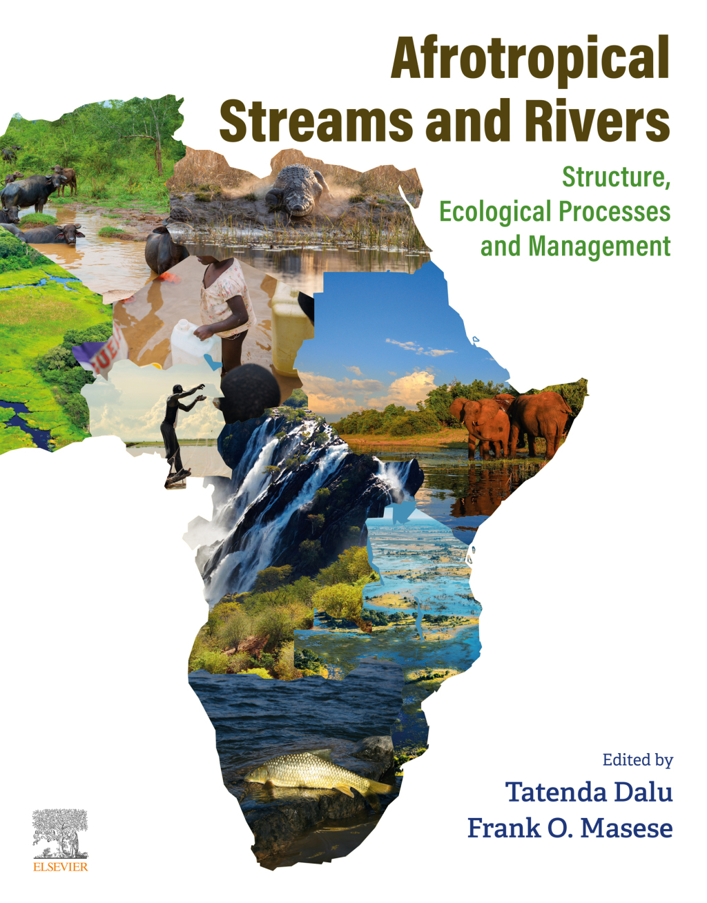 Afrotropical Streams and Rivers Structure, Ecological Processes and Management