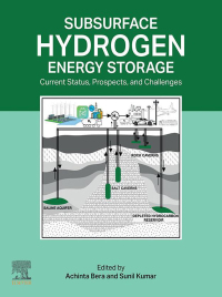 Imagen de portada: Subsurface Hydrogen Energy Storage 1st edition 9780443240713