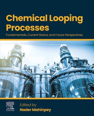 Imagen de portada: Chemical Looping Processes 9780443266591