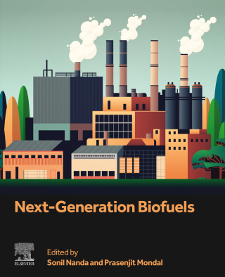 Imagen de portada: Next-Generation Biofuels 9780443275647