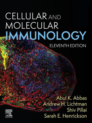 Cover image: Cellular and Molecular Immunology - E-Book 11th edition 9780443283581