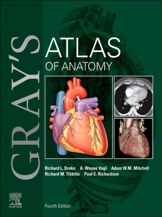 Immagine di copertina: Gray's Atlas of Anatomy 4th edition 9780443284663