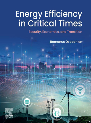 Cover image: Energy Efficiency in Critical Times 9780443289491