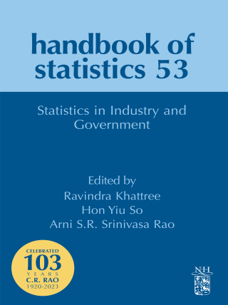 表紙画像: Statistics in Industry and Government 9780443314223