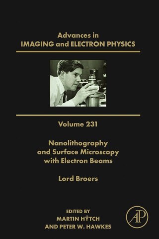 Cover image: Nanolithography and Surface Microscopy with Electron Beams 9780443314629