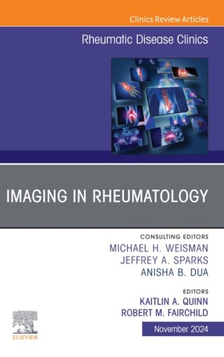 Cover image: Imaging in Rheumatology, An Issue of Rheumatic Disease Clinics of North America 1st edition 9780443316401