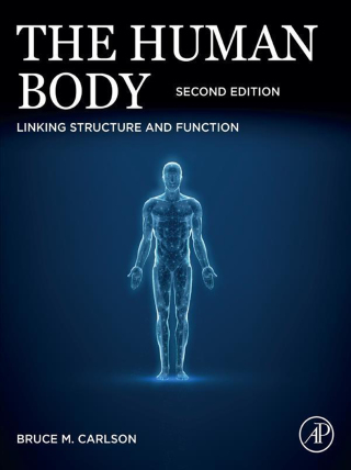 Cover image: The Human Body 2nd edition 9780443334245