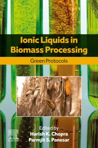 Imagen de portada: Ionic Liquids in Biomass Processing 9780443334474