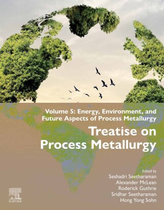 Immagine di copertina: Treatise on Process Metallurgy 9780443337321