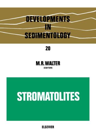Immagine di copertina: Stromatolites 9780444413765