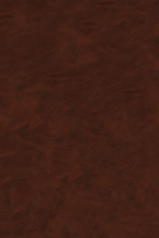 Cover image: Supergene and Surficial Ore Deposits: Textures and Fabrics 9780444414038