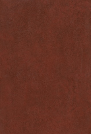 Cover image: Regional Studies 9780444414052