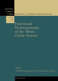 Omslagafbeelding: Functional Neuroanatomy of the Nitric Oxide System 9780444502858
