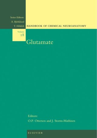 表紙画像: Glutamate 9780444502865