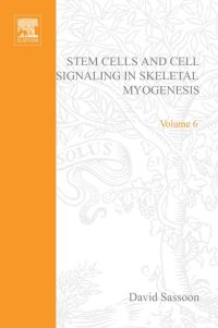 Imagen de portada: Stem Cells and Cell Signalling in Skeletal Myogenesis 9780444506634