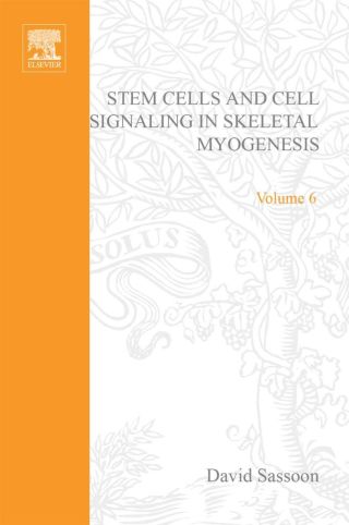 Cover image: Stem Cells and Cell Signalling in Skeletal Myogenesis 9780444506634