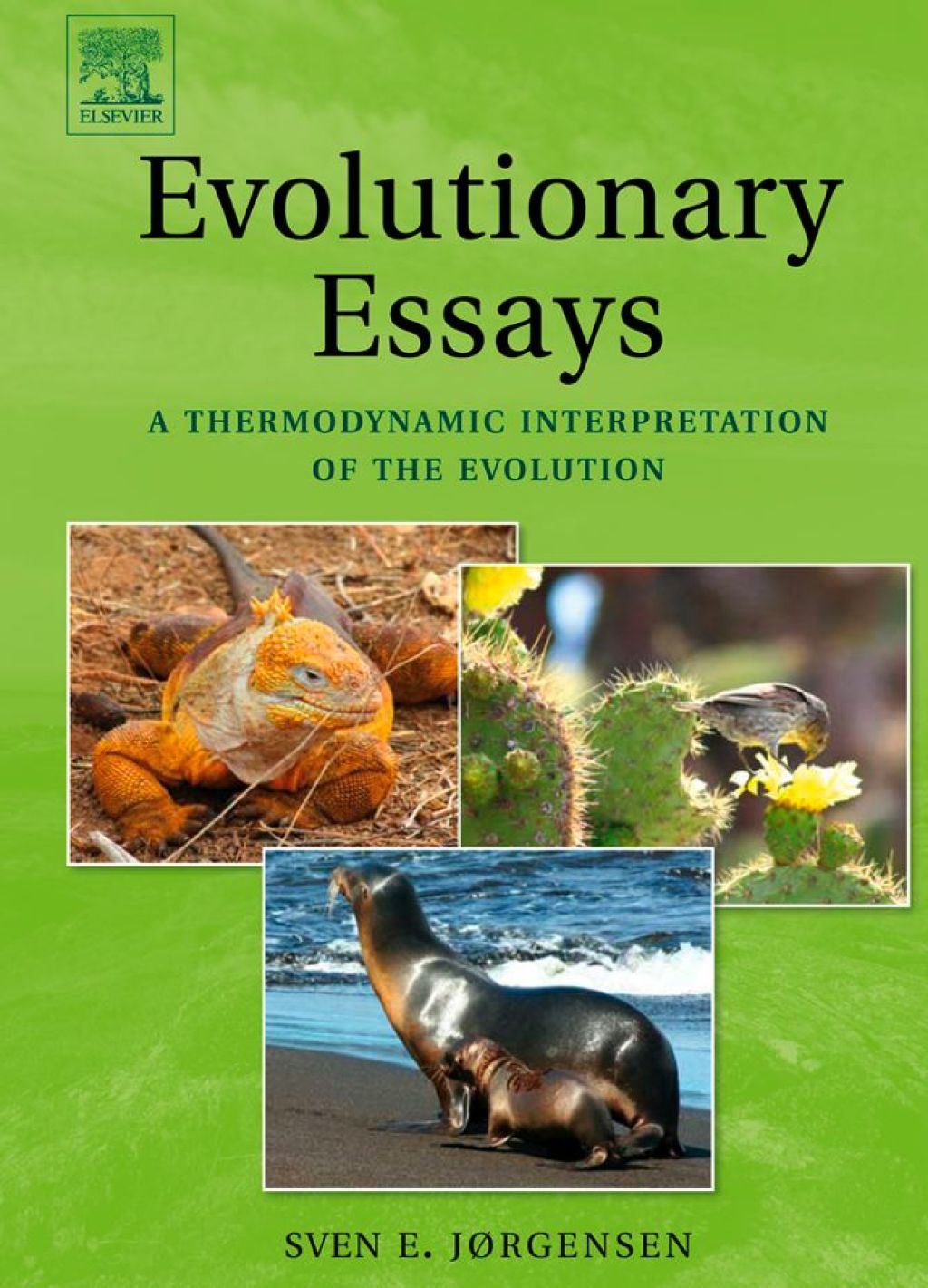 Evolutionary Essays:: A Thermodynamic Interpretation of the Evolution