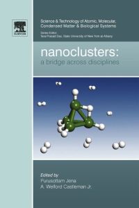 Cover image: Nanoclusters: A Bridge across Disciplines 9780444534408