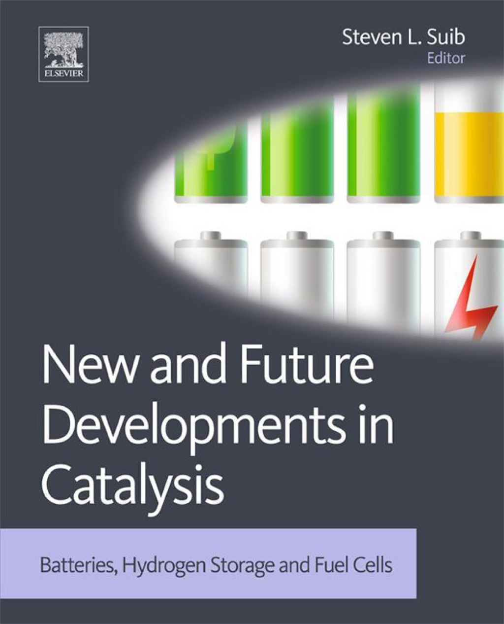 New and Future Developments in Catalysis: Batteries, Hydrogen Storage and Fuel Cells 1st Edition