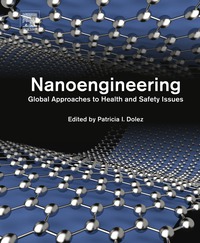 Cover image: Nanoengineering: Global Approaches to Health and Safety Issues 9780444627476