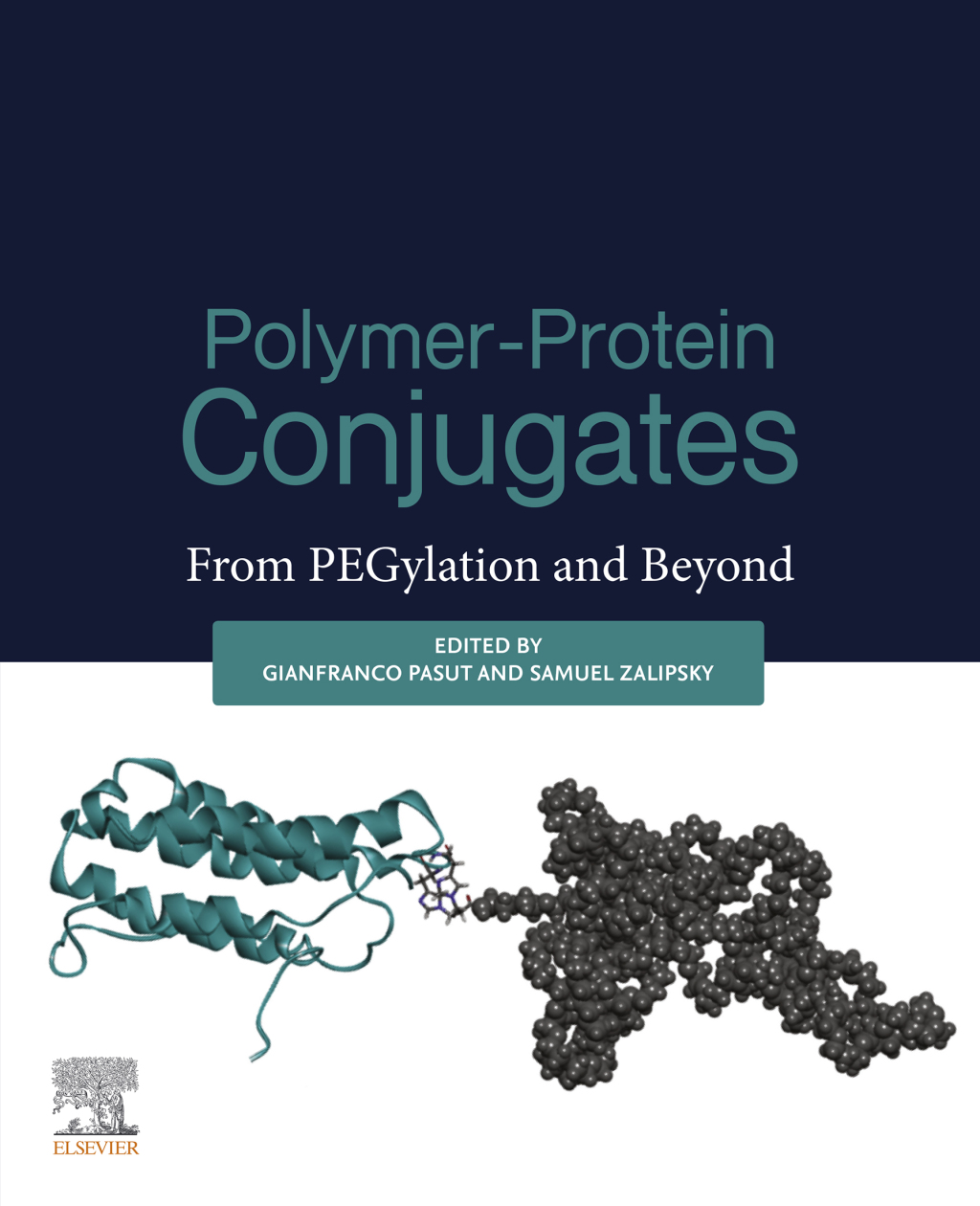 Polymer-Protein Conjugates From Pegylation and Beyond