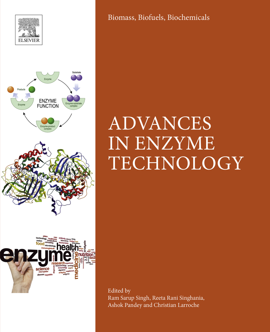 Biomass, Biofuels, Biochemicals Advances in Enzyme Technology