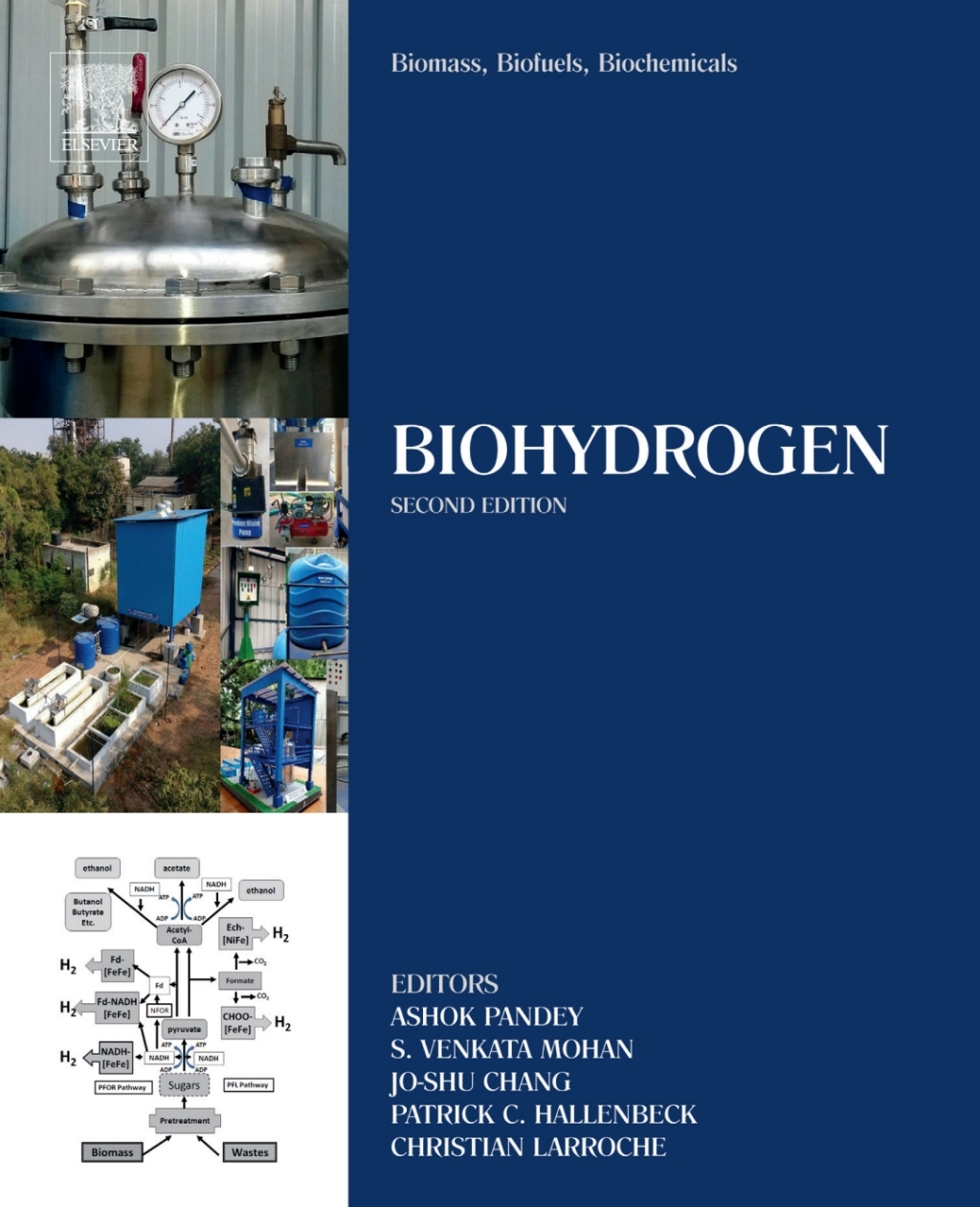Biomass, Biofuels, Biochemicals Biohydrogen 2nd Edition
