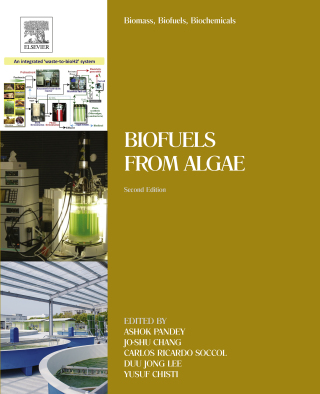 Cover image: Biomass, Biofuels, Biochemicals 2nd edition 9780444641922