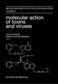 表紙画像: Molecular Action of Toxins and Viruses 9780444804006